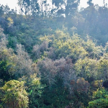 La Flora Kodaikanal Kültér fotó